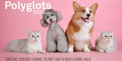 Polyglots: Multilingual improv comedy